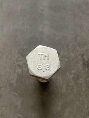 Болт М10х30х1,25 1/13069/21