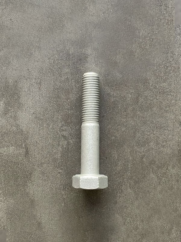 Болт М10х55х1,25 1/58887/21