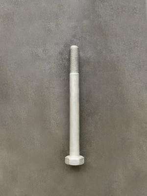 Болт М10х110х1,25 1/59720/21