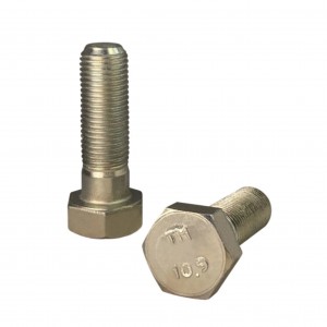 Болт М10х30х1,25 870012