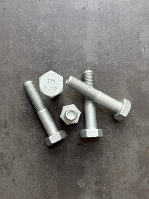 Болт М10х50х1,25 1/13438/31