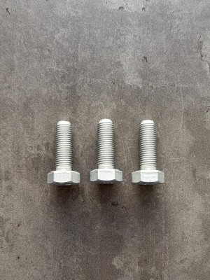 Болт М10х30х1,25 1/13069/31